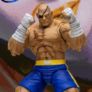 SAGAT - STREET FIGHTER ALPHA 3 - STORM ARENA